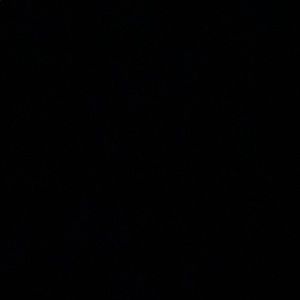 Meet your Posher, Kaela